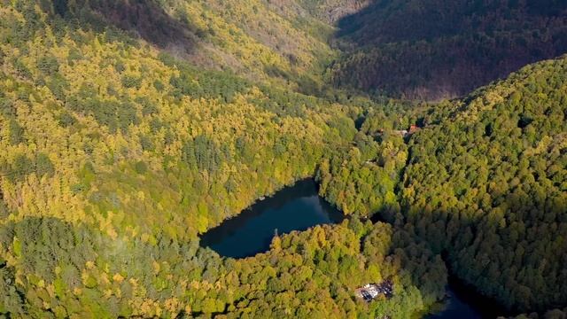 ROI - INSTRUMENTAL смотреть онлайн