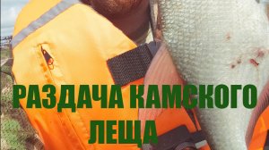 Рыбалка на леща на ПОДПУСК. Кама Лето 2025
