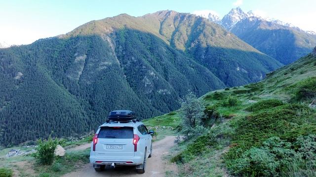 сылтранкель 25