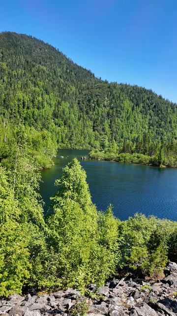 Звуки фантастической природы. Дальний Восток.