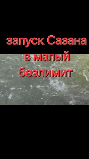 запуск Сазана смотреть онлайн