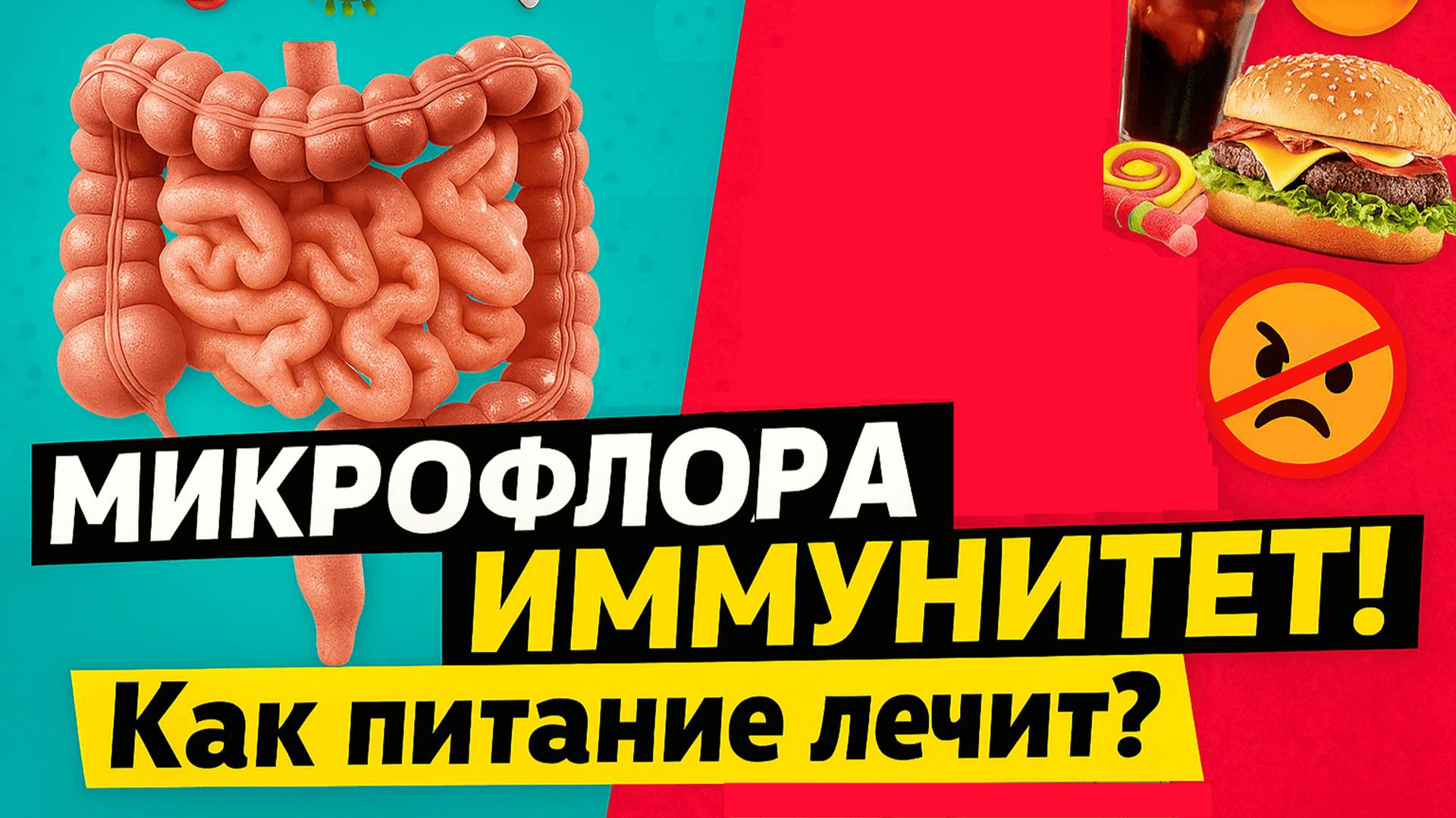 🎥 Как питание влияет на микрофлору кишечника? Объясняет врач 👩⚕️ смотреть онлайн