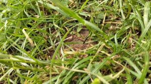 Заставка  к сериалу шляйх  
,, Не такой как все "