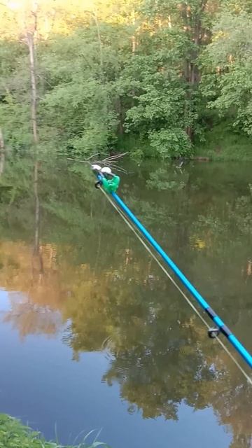 ПЕРВАЯ НЕУДАЧНАЯ РЫБАЛКА С НОЧЕВКОЙ! РЕКА МАЛАЯ КОКШАГА! 24.05.2025 ГОДА ЧАСТЬ-5 #fishing #рыбалка смотреть онлайн