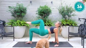 CARDIO PILATES (8 min Fat Loss HIIT) _ Low Impact, No Equipment at Home Workout