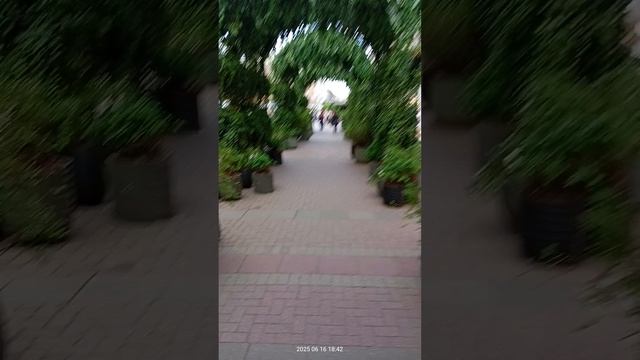 Арбат озеленили смотреть онлайн