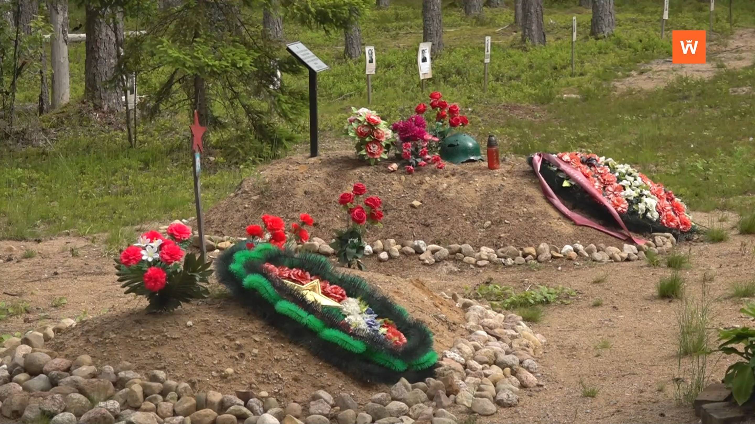 Программа «Город. Новости по-выборгски» от 17 июня 2025 года смотреть онлайн