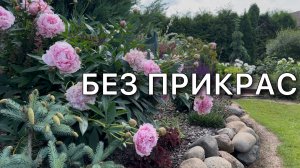 Обзор цветения пионов, как есть. Названия сортов подписаны. Дневник садовода