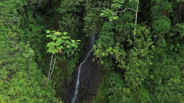 Cano смотреть онлайн