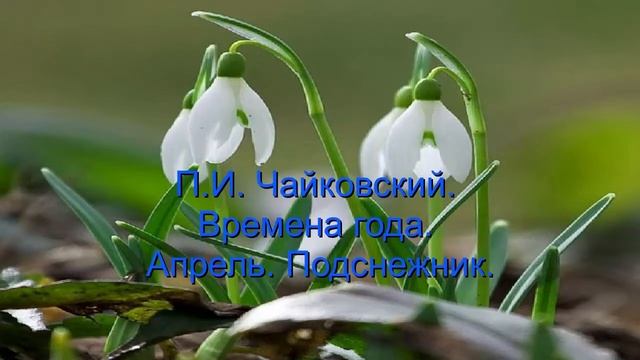 "Подснежник". Занятие для детей смотреть онлайн