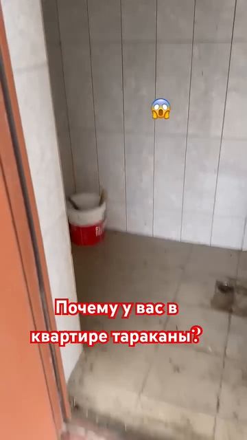 С чего начать борьбу с тараканами?