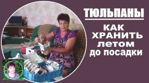 Как хранить тюльпаны до осени. Мой метод хранения тюльпанов