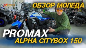 Полный обзор мопеда PROMAX ALPHA CITYBOX 150 от X-MOTORS: особенности, преимущества и впечатления