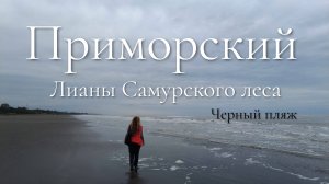 «Таинственный Дагестан: Лианы Приморского и Чёрные Пески пляжа»  (Октябрь 2023)