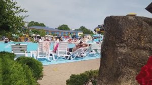 Море ,цветы, аттракционы