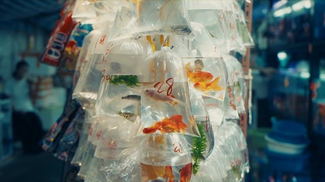 02. Secrets of Hong Kong _ CINEMATIC Short Film - Sony FX3