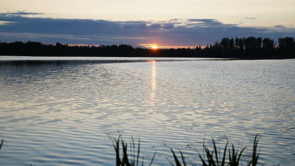 Нашли новое место для отдыха в Подмосковье. Мы одни на весь берег!