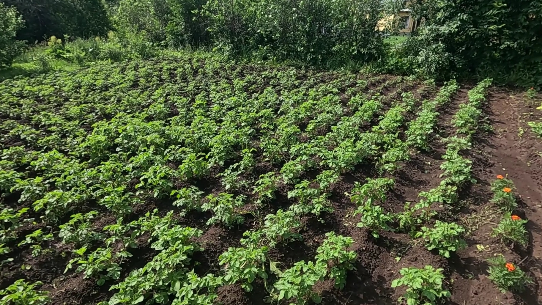 Всё залило и прибило... Не будем загадывать.. смотреть онлайн