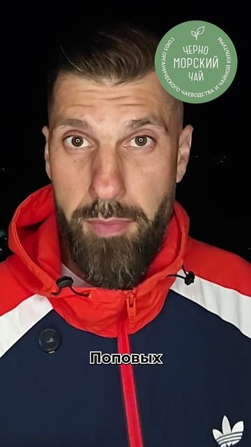 Черноморский Чай