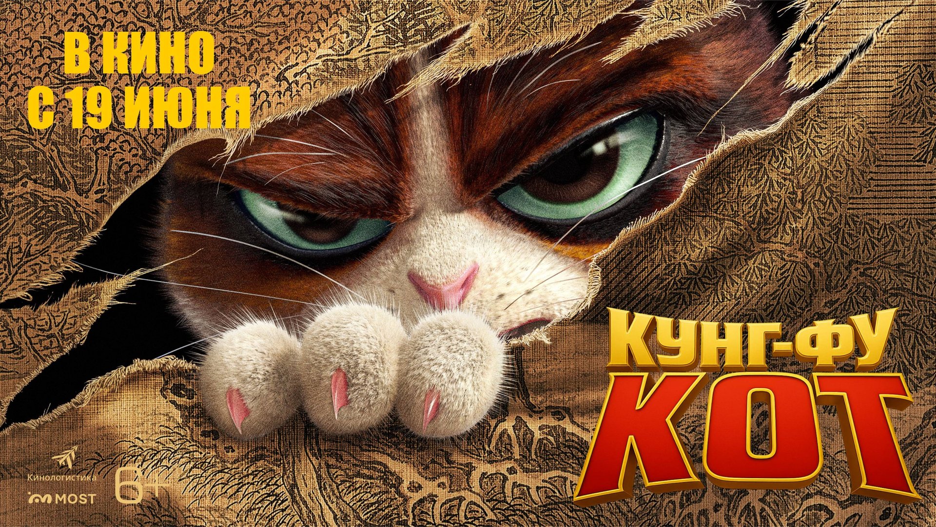 Кунг-фу кот