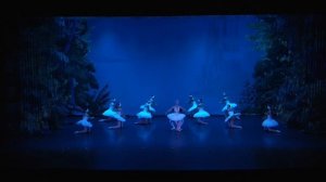 Лебединое озеро