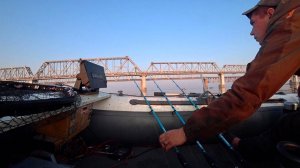 Нереальная рыбалка!!! Чушки с метр прут одна за другой! Трофейная рыбалка на сазана!