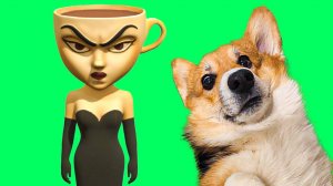 ЭСПРЕССОНА СИНЬОРА и ЕЕ ОТРАВЛЕННЫЙ КОФЕ!! Корги Кекс Говорящая собака