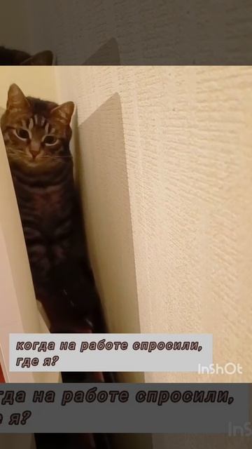 ☺️☺️☺️.mp4