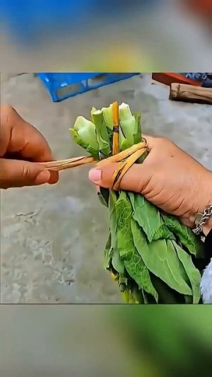 1000 летние узлы которые не знают многие