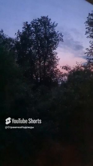 В глуши. Из Англии в Россию