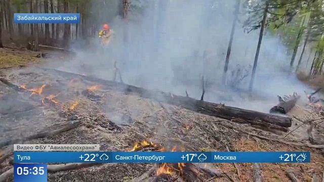 Первый канал, Борьба с лесными пожарами, 17 июня 2025 смотреть онлайн