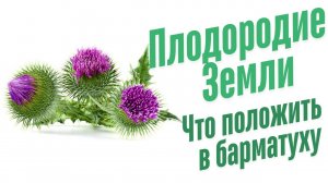 Что положить в Барматуху?