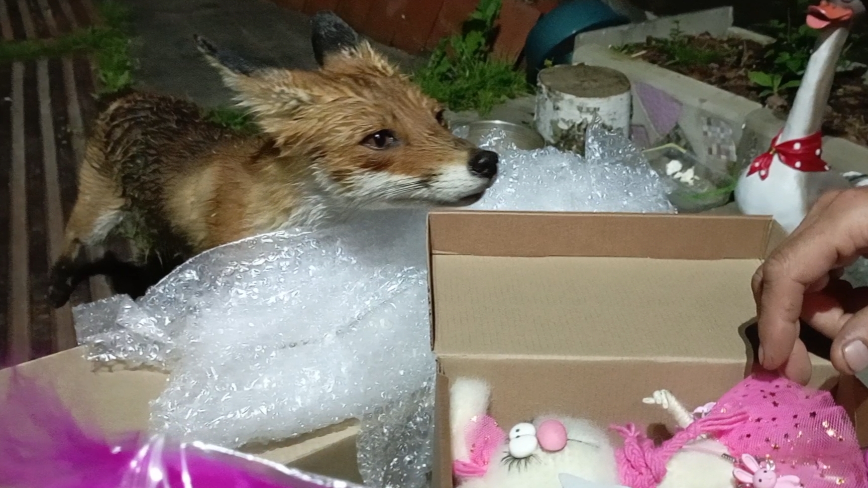 Подарок от Натальи из Москвы. Продолжение смотреть онлайн