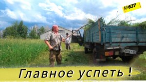 В деревне с тестем. Стоит ли садить огород в середине июня. Жизнь и будни в Сибирской деревне.