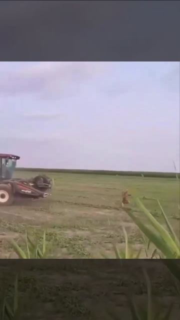 Ухилянт на комбайне за ТЦК😉✌👍😂😂😂 смотреть онлайн
