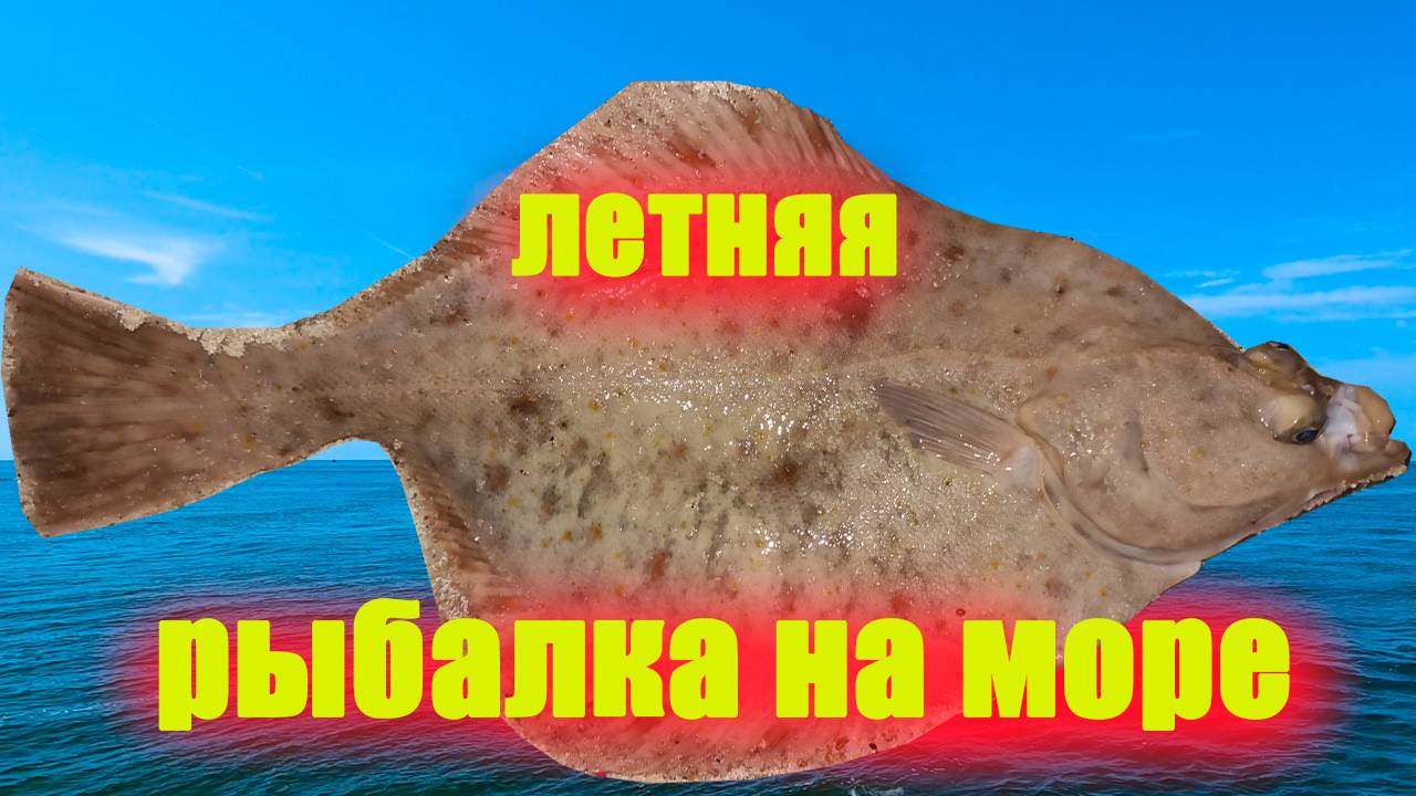 «Рыбалка на камбалу в Балтийском море: особенности ловли и улова». смотреть онлайн