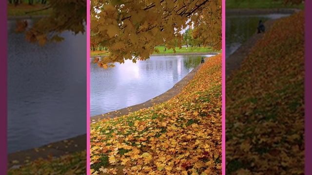 СКОЛЬКО В МИРЕ КРАСОТЫ! 🌺🌞🦋 Видео на стихи✍️ автора ©Светлана Гмызина 💖 смотреть онлайн