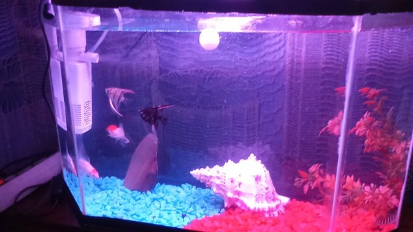 XRecorder_Edited_20250617_02