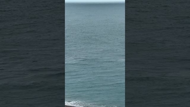 Абхазия, в такую погоду в море плавают только Дельфины. смотреть онлайн