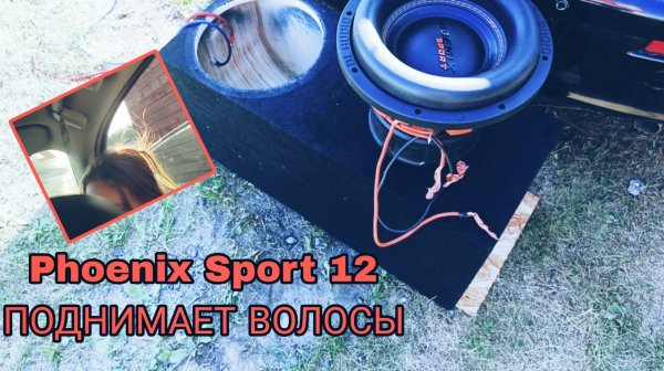Флекс от одной DL AUDIO Phoenix Sport 12
