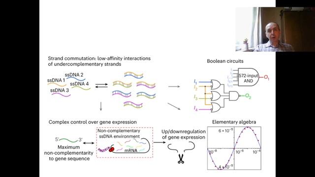 Молекулярные коммутации
