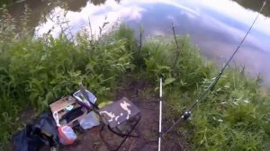 Рыбалка на карася. Ловля карася на донку с кормушкой.