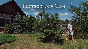 Миша Мячин - Растворился сон (живая акустика, май 2025)