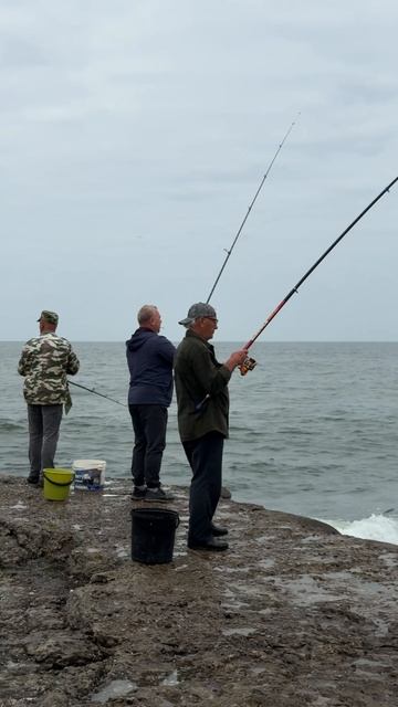 Балтийск. Рыбалка