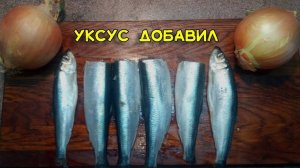Маринованная салака с луком. Как засолить салаку.