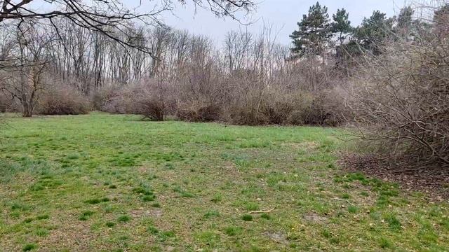 СП "Ликвидация 5". Отчет 8. Дари людям чудо. смотреть онлайн