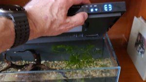 Умный аквариум Xiaomi Mijia Smart Fish Tank 20L Black (MYG100) Не работает помпа. Ошибка Е3.