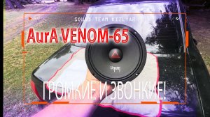 Громкие и звонкие эстрадные динамики даже от малой мощности! AurA VENOM-65