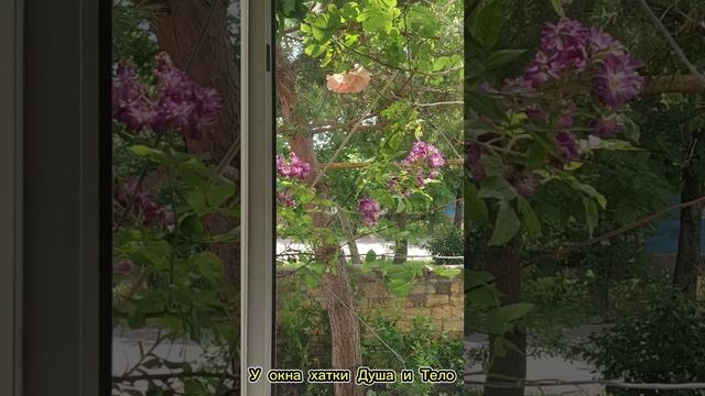 У окна любимой хатки Душа и Тело