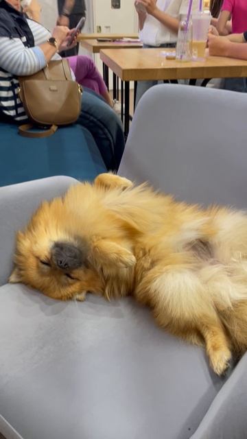 Мирочка спит 💖💖💖 смотреть онлайн